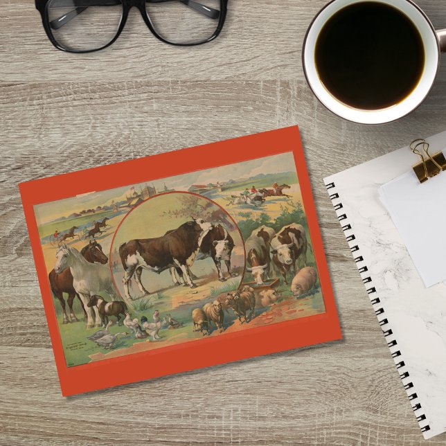 Cartão Postal Ephemera De Raça De Animais De Criação (Criador carregado)