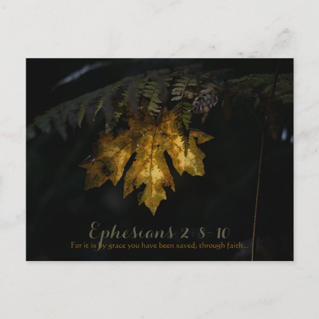 Cartão Postal Ephesianos (Frente)