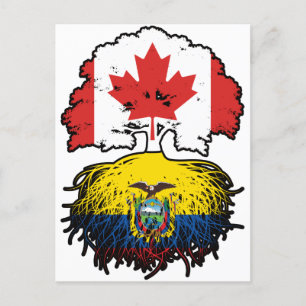 Cartão Postal Equador, Equador, Canadá, raízes de árvores