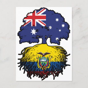 Cartão Postal Equador - Raízes das Árvores Australianas, Equator