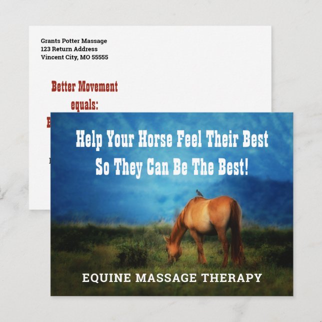 Cartão Postal Equine Massage Therapist Horse Business Mailer (Frente/Verso)