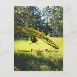 Cartão Postal Equinócio Mabon do outono da abelha & do Goldenrod