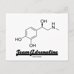 Cartão Postal Equipe Adrenalina (Molécula Química Humor)