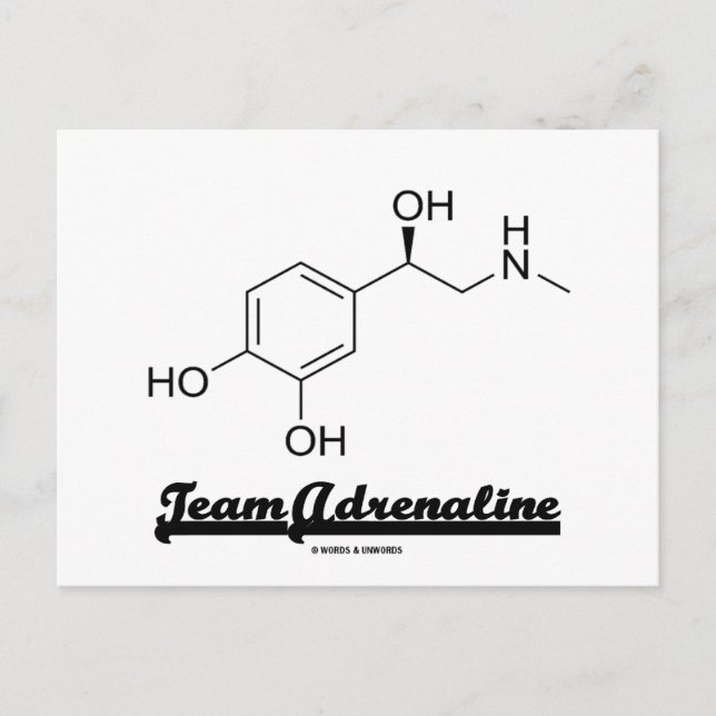 Cartão Postal Equipe Adrenalina (Molécula Química Humor) (Frente)