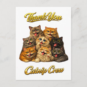 Cartão Postal Equipe Catnip Caras de Gato Fofas e Divertidas Obr