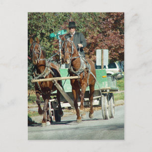 Cartão Postal Equipe de dois cavalos