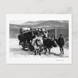 Cartão Postal Equipe de Vaca Puxando Homens num Vagão