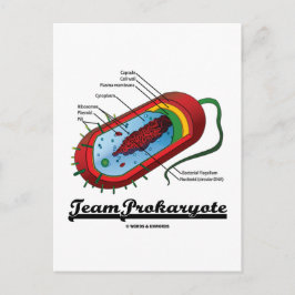Cartão Postal Equipe Prokaryote (Bactérias)