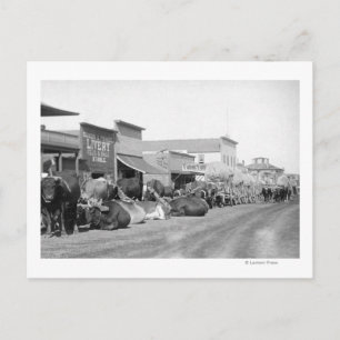 Cartão Postal Equipes de Ox ao longo da rua principal da fotogra