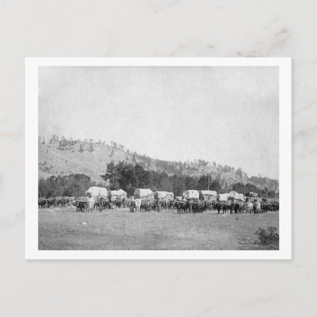 Cartão Postal Equipes de Ox e Vagões em um Vale do Negro (Frente)