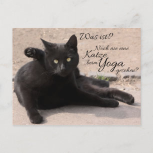 Cartão Postal Era? Noch nie Katze beim Yoga gesehen?