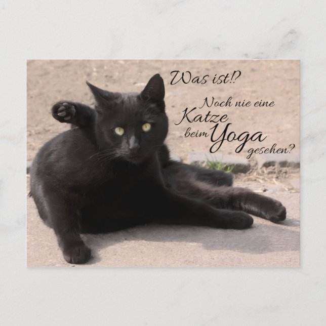 Cartão Postal Era? Noch nie Katze beim Yoga gesehen? (Frente)