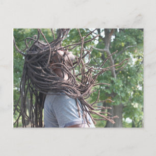 CARTÃO POSTAL ERIC SMITH E AS POUCAS RAÍZES/PIXTURES DE INTERLUI