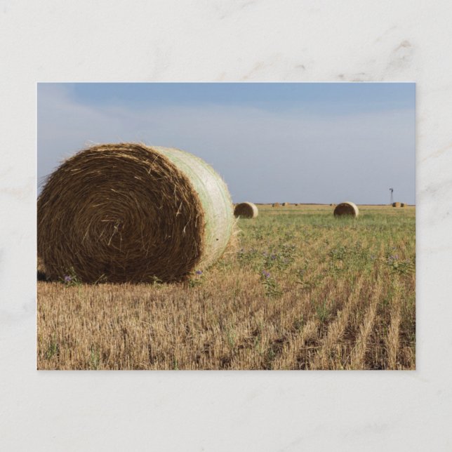 Cartão Postal Erick, Oklahoma, EUA - Rota 66 (Frente)