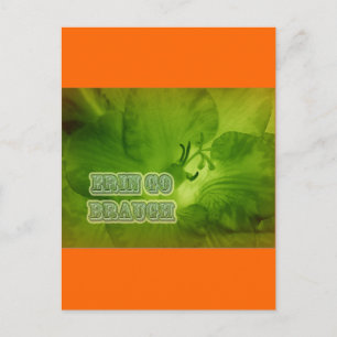 Cartão Postal Erin Go Braugh Green Freesia Items