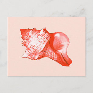 Cartão Postal Esboço da concha - coral, rosa-casca e branco