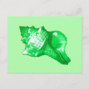 Cartão Postal Esboço da concha - esmeralda e verde limão