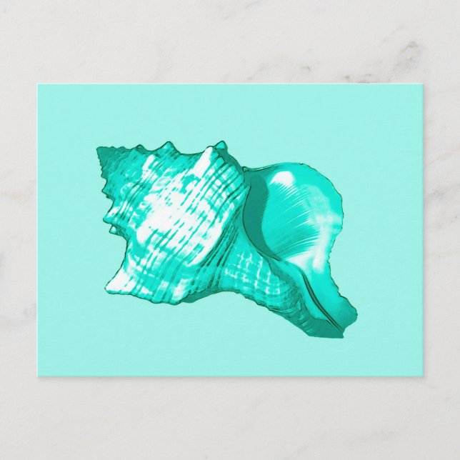 Cartão Postal Esboço da concha - taruga, branca e aqua (Frente)