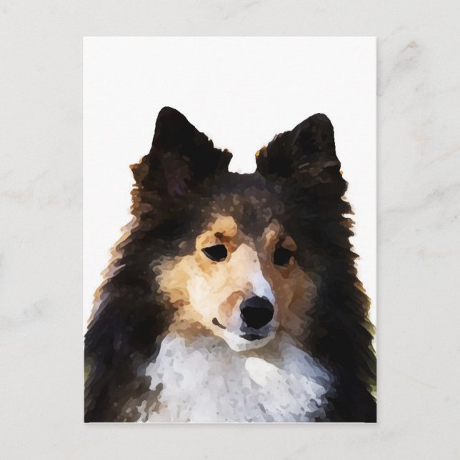 Cartão Postal Esboço de pintura de cão Sheltie (Frente)