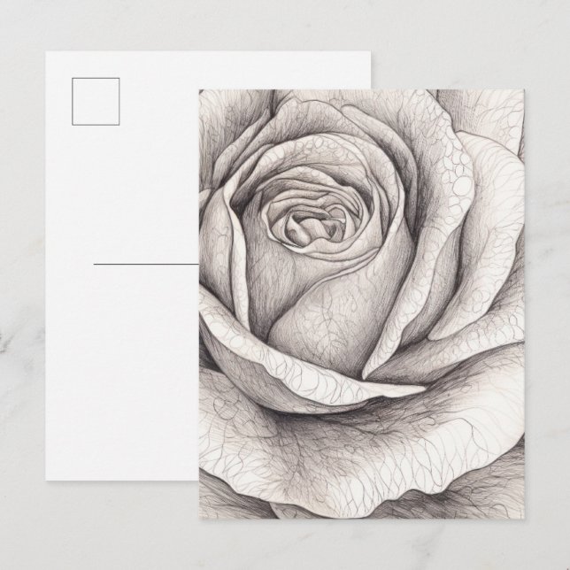 Cartão Postal Esboço de Rosa  (Frente/Verso)