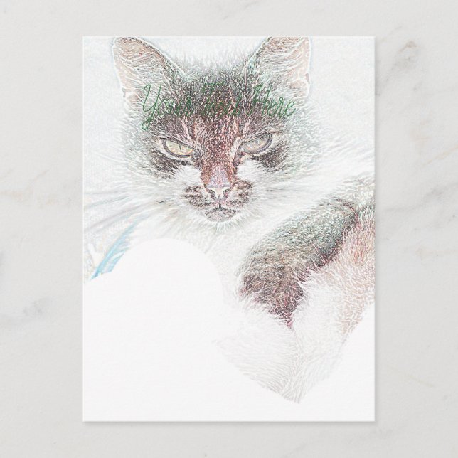 Cartão Postal Esboço de Rosto de Gata Fofa e Zangada (Frente)