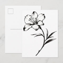 Cartão Postal Esboço de uma flor