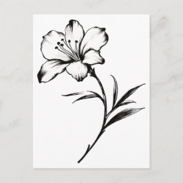 Cartão Postal Esboço de uma flor