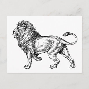 Cartão Postal Esboço do Leão Poderoso