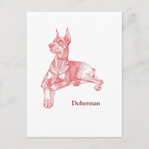 Cartão Postal Esboço Minimalista de Lápis Vermelho de Doberman P