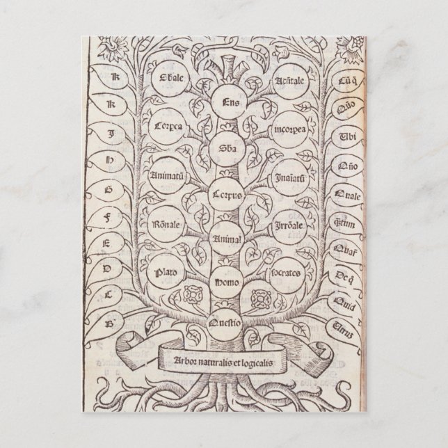 Cartão Postal Escada celestial (Frente)