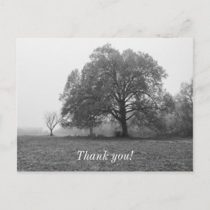 Cartão Postal Escala de Cinza de Manhã de outono