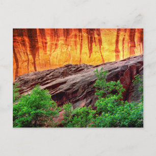 Cartão Postal Escalante Neon Canyon e Folhagem   Utah