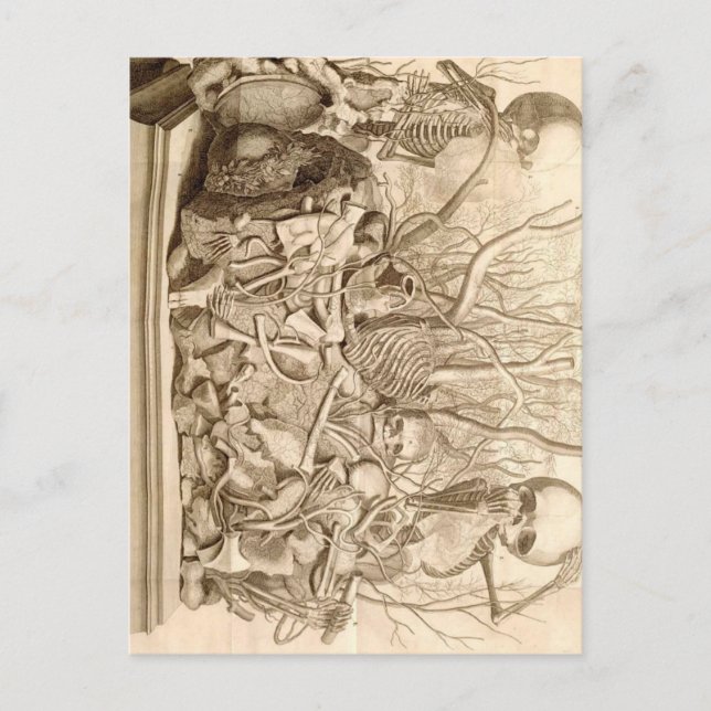 Cartão Postal Escavadores de criança (Frente)