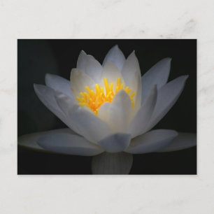 Cartão Postal esclarecimento