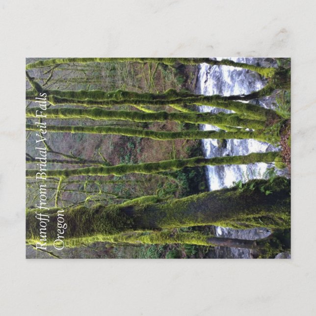 Cartão Postal Escoamento da Bridal Veil Falls, OR (Frente)