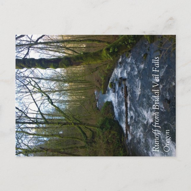 Cartão Postal Escoamento das Bridal Veil Falls, OR (Frente)