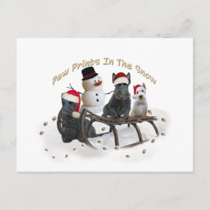 Cartão Postal Escocês A Time For Play