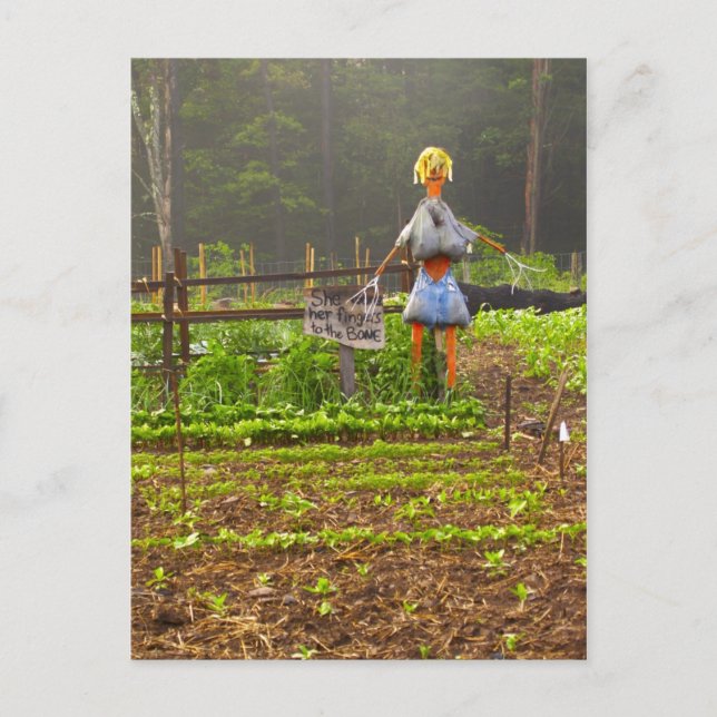 Cartão Postal Escolha Seus Próprios Melões (Frente)