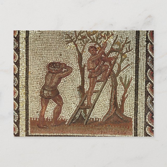 Cartão Postal Escolhendo a fruta, mosaico romano (Frente)
