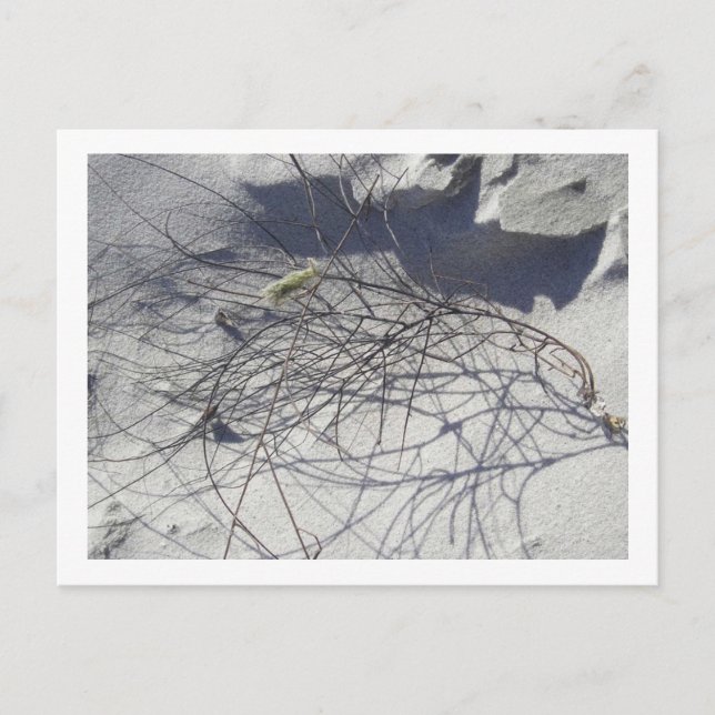 Cartão Postal escombros de praia (Frente)