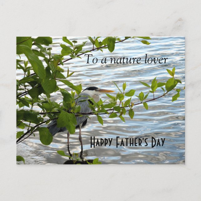 Cartão Postal Escondendo Heron! (Frente)