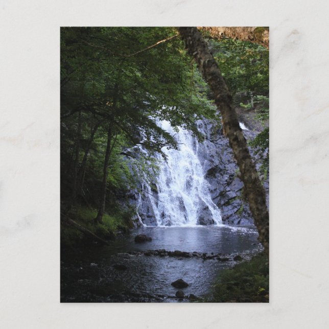 Cartão Postal Escondidas através das árvores (Frente)