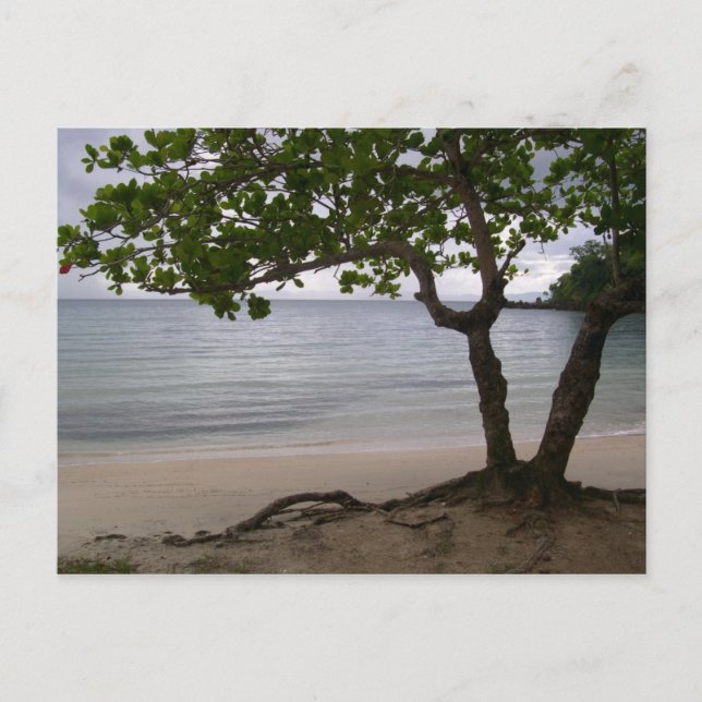 Cartão Postal Escondido Beach (Frente)