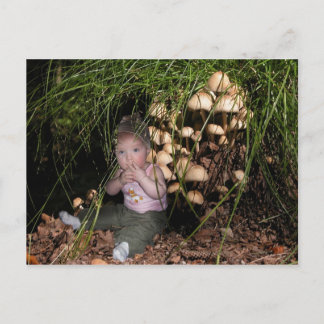 Cartão Postal Escoteira-mirim ao fungo de árvore