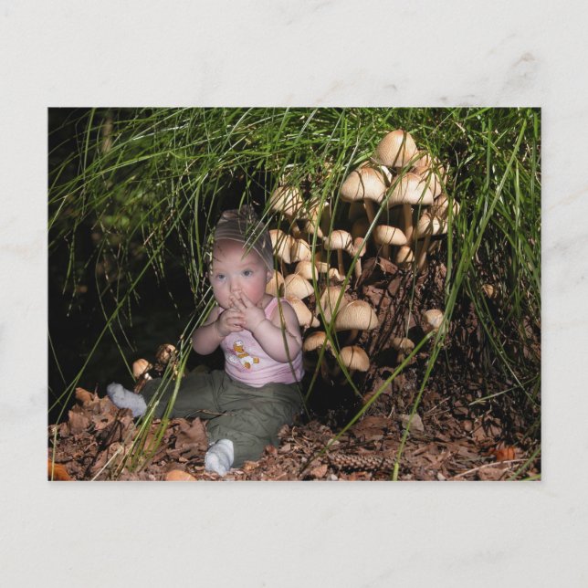 Cartão Postal Escoteira-mirim ao fungo de árvore (Frente)