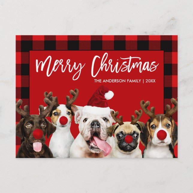 Cartão Postal Escoteiro Feliz Cachorro de Natal Xadrez Vermelha (Frente)