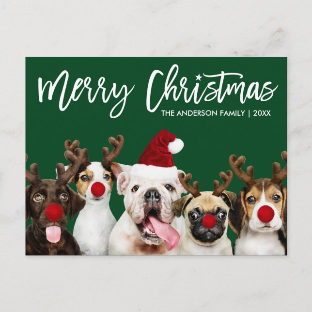 Cartão Postal Escova Estrela Feliz Cachorro de Natal Verde (Frente)