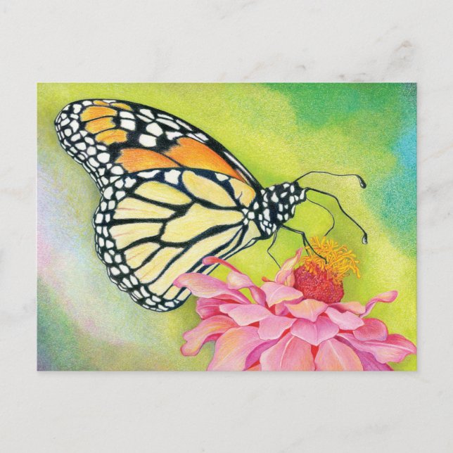 Cartão Postal Escreva cartões-postais para democratas - Brigada  (Frente)