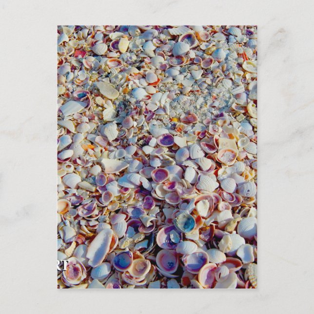 Cartão Postal Escudos do mar (Frente)