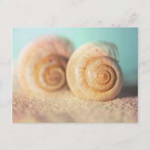Cartão Postal Escudos do nautilus na praia